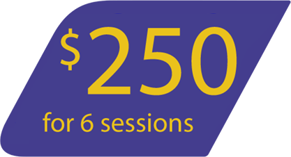 $250 for 6 sessions